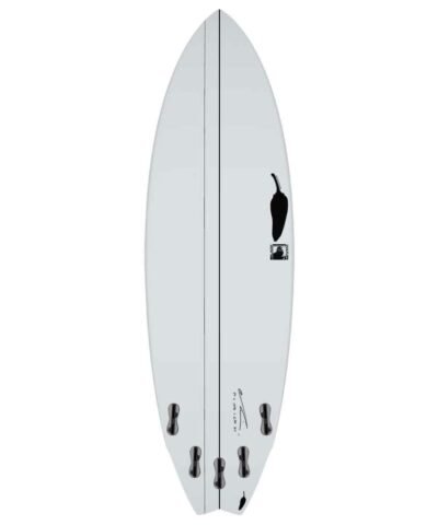 Alternative view of Chilli - Black Vulture