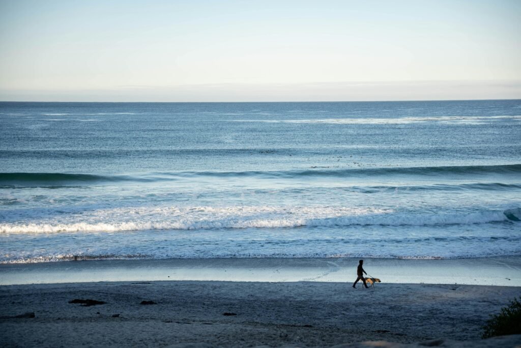 Surfista com prancha e cachorro caminhando na areia ao amanhecer em uma praia com boas ondas para surfar