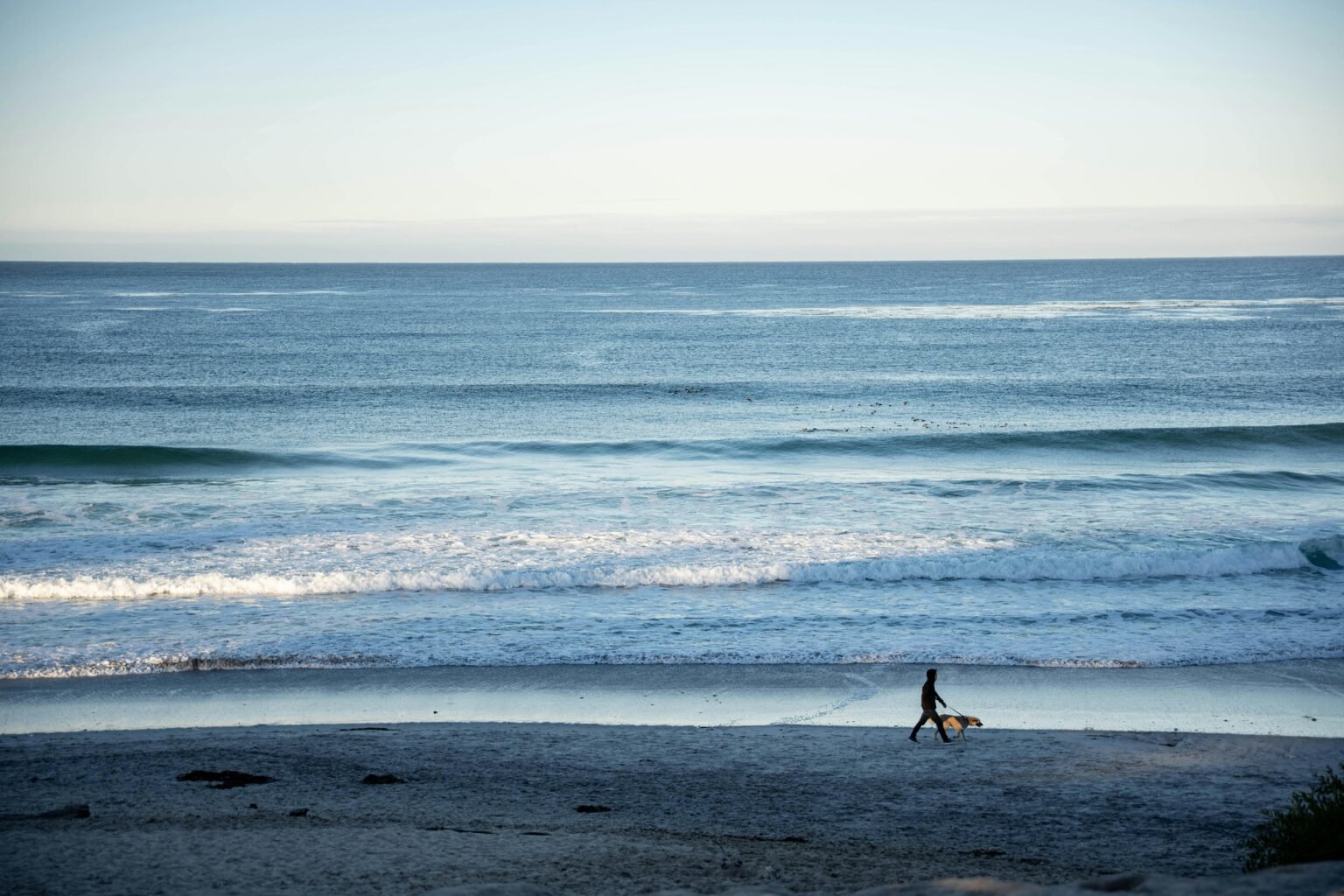 Surfista com prancha e cachorro caminhando na areia ao amanhecer em uma praia com boas ondas para surfar